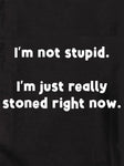 I’m not stupid.  I’m just really stoned right now Kids T-Shirt