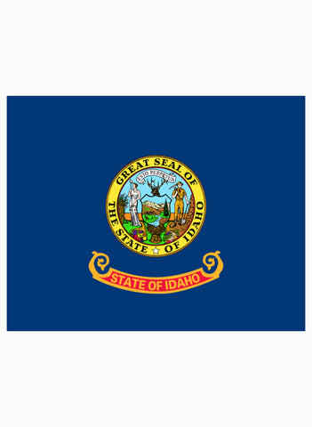 Camiseta de la bandera del estado de Idaho