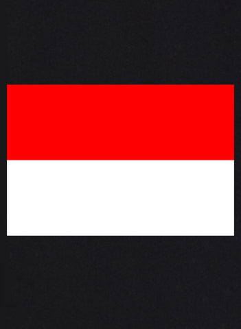 T-shirt drapeau indonésien