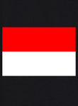 Indonesian Flag Kids T-Shirt