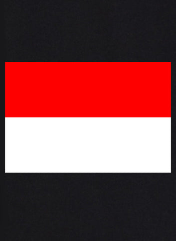 Indonesian Flag Kids T-Shirt