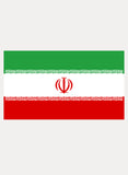 Iranian Flag T-Shirt