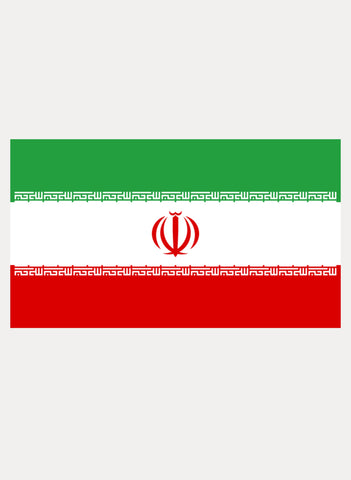 Iranian Flag Kids T-Shirt