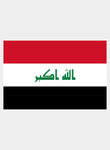 Iraqi Flag Kids T-Shirt