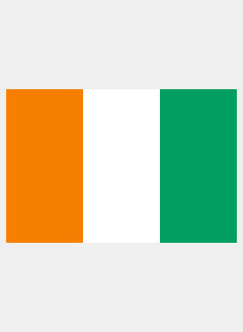 Ivorian Flag Kids T-Shirt