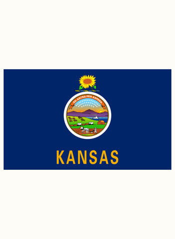 Kansas State Flag Kids T-Shirt