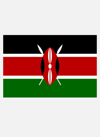 Kenyan Flag Kids T-Shirt