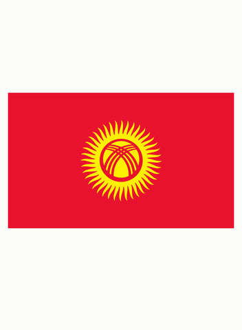 Kyrgyzstani Flag Kids T-Shirt