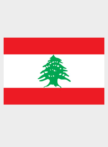 Camiseta bandera libanesa