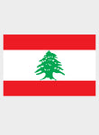 Lebanese Flag Kids T-Shirt