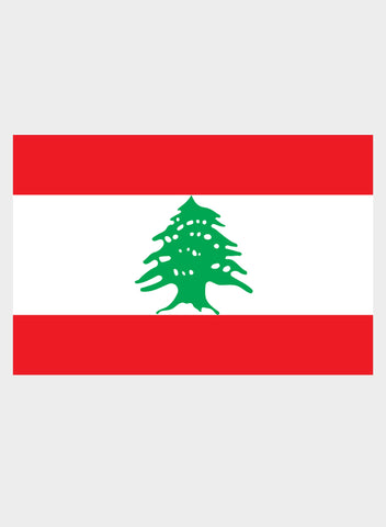 Lebanese Flag Kids T-Shirt