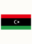 Libyan Flag Kids T-Shirt