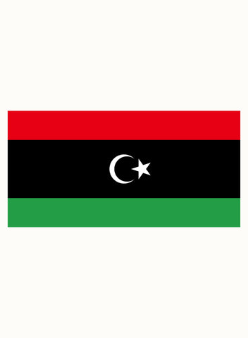 Libyan Flag Kids T-Shirt