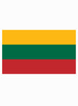 Lithuanian Flag Kids T-Shirt