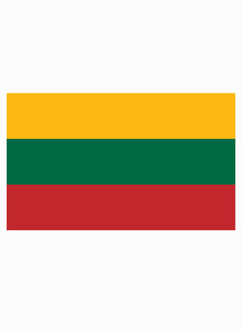 Lithuanian Flag Kids T-Shirt