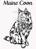 Maine Coon Cat Kids T-Shirt