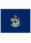 Maine State Flag Kids T-Shirt