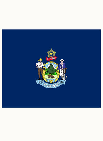 Maine State Flag Kids T-Shirt