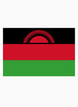 Bandera de Malawi Camiseta para niños