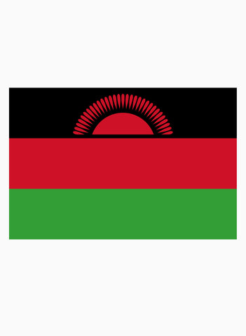 Malawian Flag Kids T-Shirt