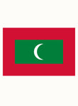 Maldivian Flag Kids T-Shirt