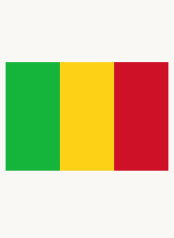 Malian Flag Kids T-Shirt