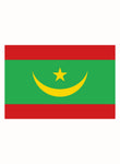 Mauritanian Flag Kids T-Shirt