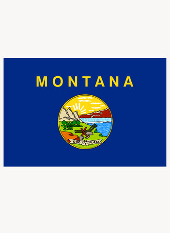 Montana State Flag Kids T-Shirt