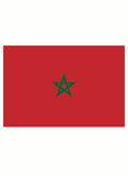 Moroccan Flag T-Shirt