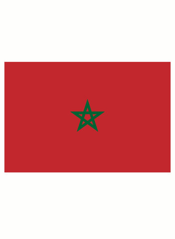 Moroccan Flag Kids T-Shirt