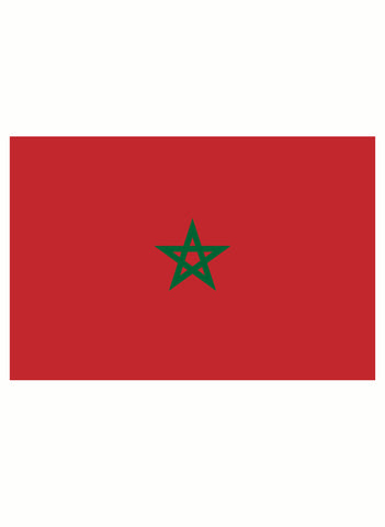 T-shirt drapeau marocain