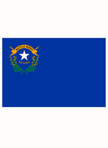 Nevada State Flag Kids T-Shirt