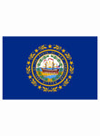 Camiseta de la bandera del estado de New Hampshire
