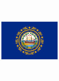 Camiseta de la bandera del estado de New Hampshire