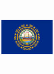 New Hampshire State Flag Kids T-Shirt