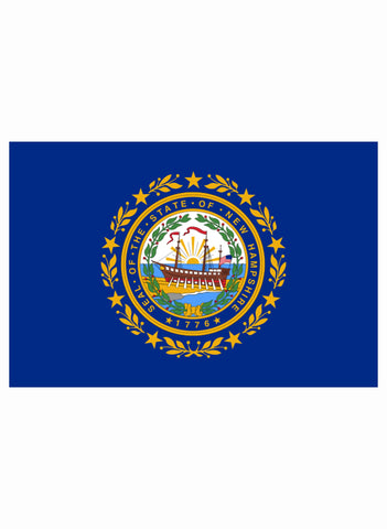 New Hampshire State Flag Kids T-Shirt