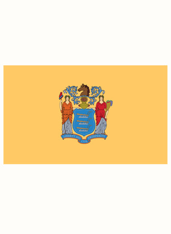 T-shirt drapeau de l'état du New Jersey