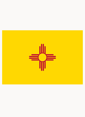 New Mexico State Flag Kids T-Shirt