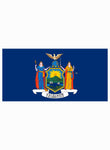 New York State Flag Kids T-Shirt