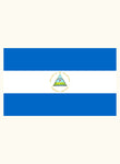 Nicaraguan Flag Kids T-Shirt