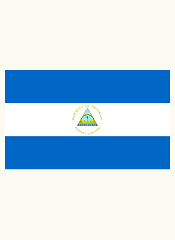 Nicaraguan Flag Kids T-Shirt