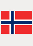 Camiseta bandera noruega