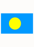 Camiseta de la bandera de Palau