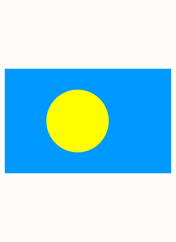 Palauan Flag Kids T-Shirt