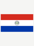 T-shirt drapeau paraguayen