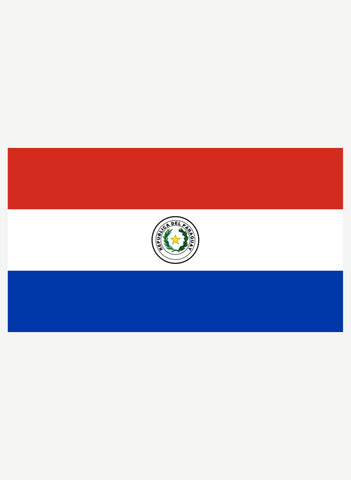 Paraguayan Flag Kids T-Shirt