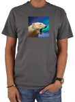 Camiseta Noche del Oso Polar