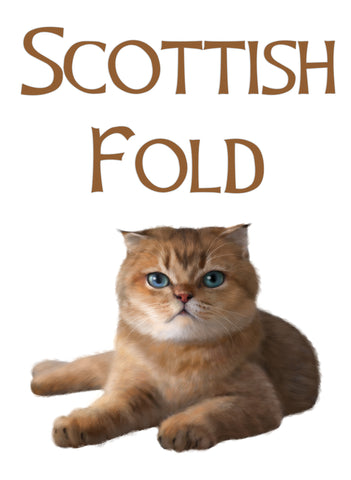 Scottish Fold Cat T-Shirt