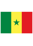 T-shirt drapeau sénégalais