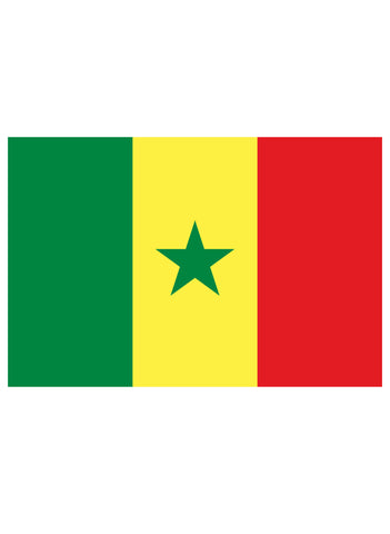 Senegalese Flag T-Shirt